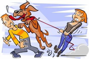 Problemhund_Sprung_800_533